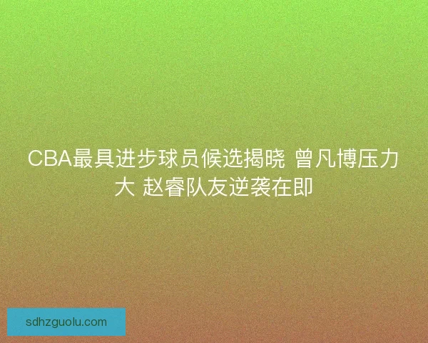 CBA最具进步球员候选揭晓 曾凡博压力大 赵睿队友逆袭在即