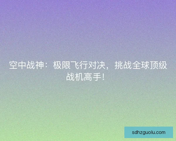 空中战神：极限飞行对决，挑战全球顶级战机高手！