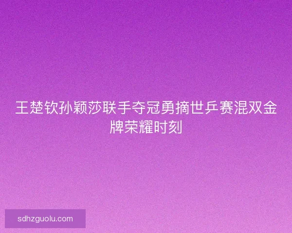 王楚钦孙颖莎联手夺冠勇摘世乒赛混双金牌荣耀时刻