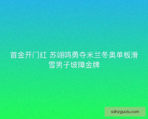 首金开门红 苏翊鸣勇夺米兰冬奥单板滑雪男子坡障金牌 首金开门红 苏翊鸣勇夺米兰冬奥单板滑雪男子坡障金牌